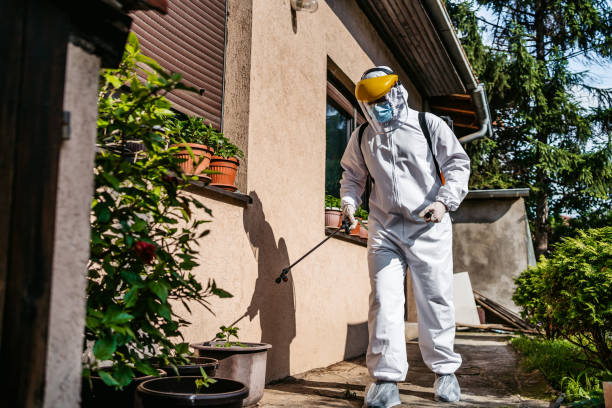Flea Control Services in Mesa Del Caballo, AZ
