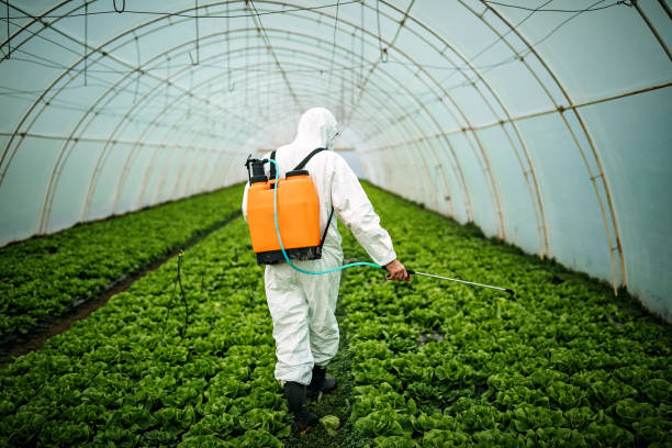Best Best Pest Control Companies  in Mesa Del Caballo, AZ