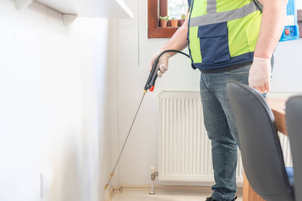 Best Pest Control Near Me  in Mesa Del Caballo, AZ