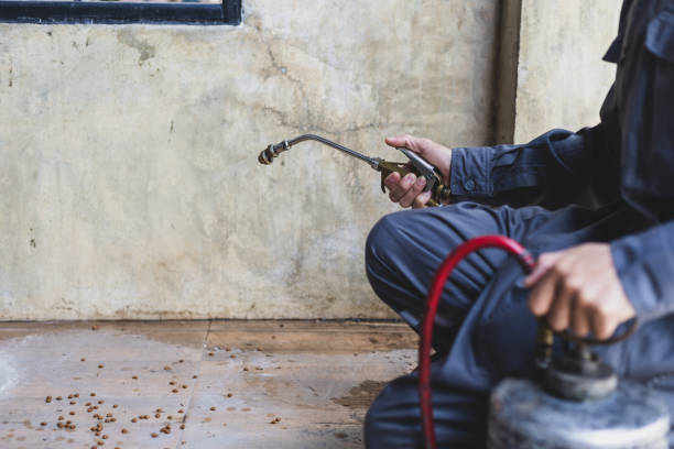 Best Residential Pest Control  in Mesa Del Caballo, AZ