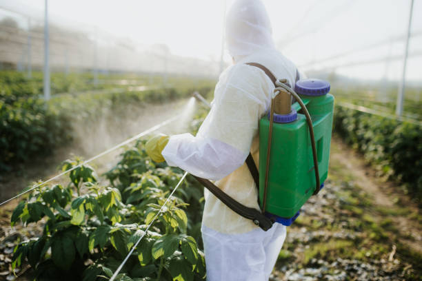 Insect Control in Mesa Del Caballo, AZ